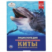 Книга Энциклопедия А4 Киты,дельфины,косатки(8888)